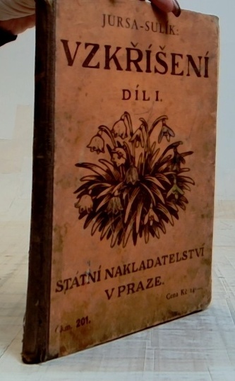 Vzkříšení I.