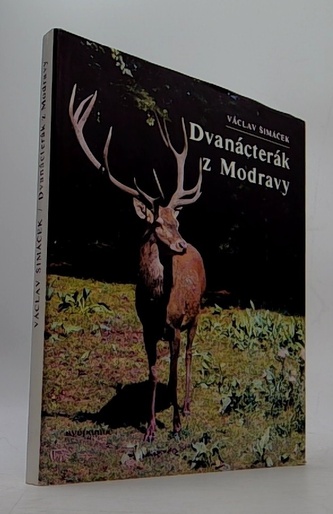 Dvanácterák z Modravy