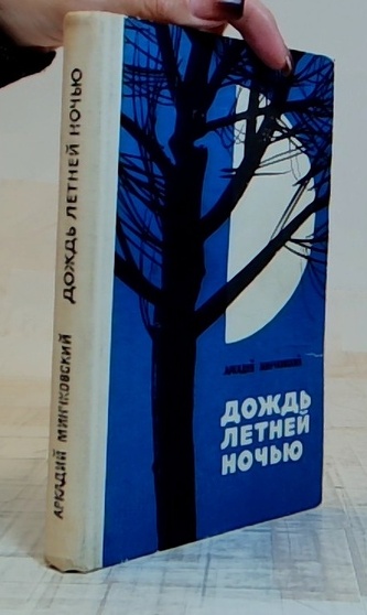 Дождь летней ночью