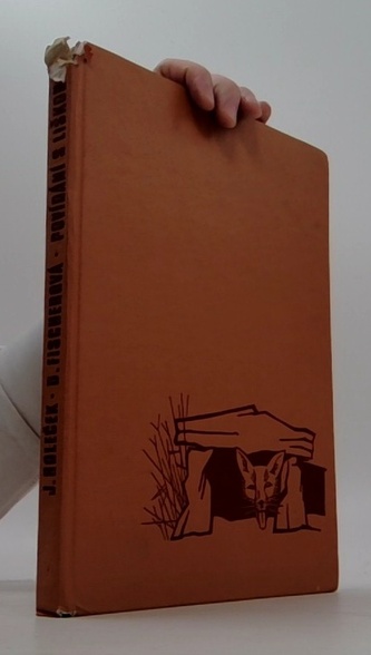 Povídání s liškou