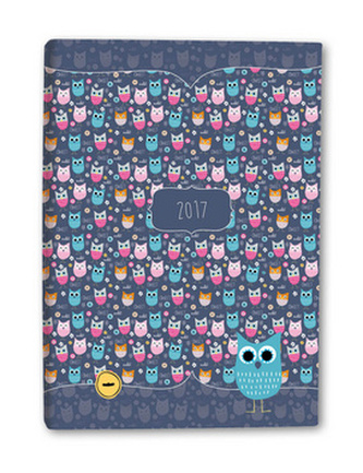Diář A5 Owls denní 2017