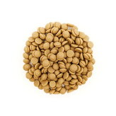 Karamelová 30,4% čokoláda váha 200g