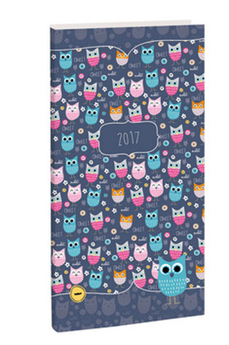Diář A6 Owls týdenní 2017