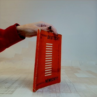 Sprechen Sie Deutsch? / Mluvíte Německy?