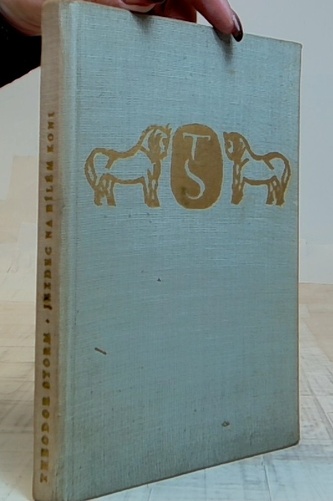 Jezdec na bílém koni