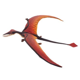 Ramphorhynchus