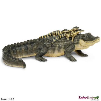 Aligátor s mláďaty