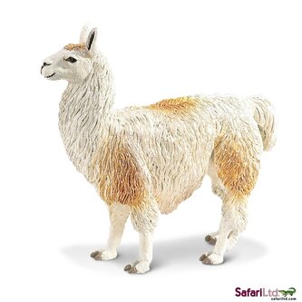 Lama