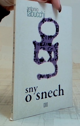 Sny o snech