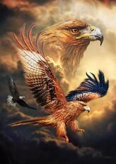 ART PUZZLE Puzzle Orel 1000 dílků