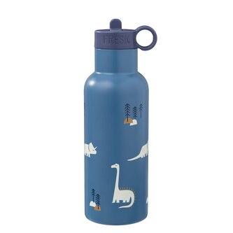 NORDIC TERMOFĽAŠA FRESK DINO, 500 ML