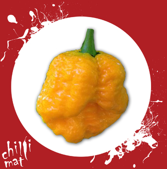 Semena Chilli Trinidad Scorpion Moruga Yellow 10ks