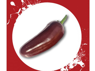 Chilli semena Jalapeno Brown 10 ks Chilli semena Jalapeno Brown 10 ks