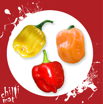 HABANERO 3 druhy - chilli mix semínek 30ks