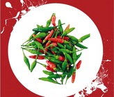 Semínka Chilli Bird's Eye 10ks