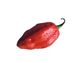 Semínka Chilli Bhutlah Red 10ks