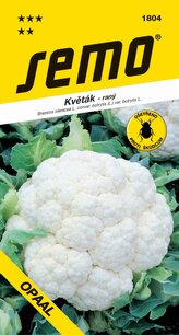 Květák jarní - Opaal raný 25s