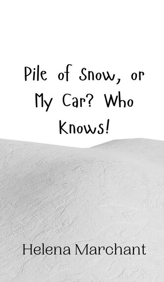 Pile of Snow, or My Car? Who Knows!