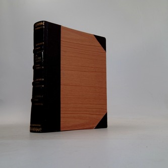 České dějiny (díl III., část 4.)