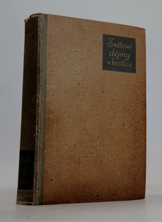 Světové dějiny v kostce