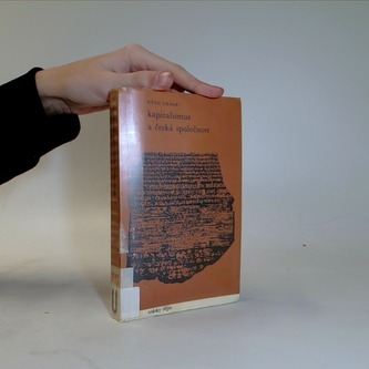 Kapitalismus a česká společnost