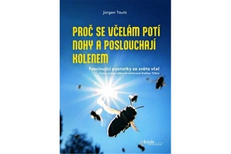 Proč se včelám potí nohy a poslouchají kolenem
