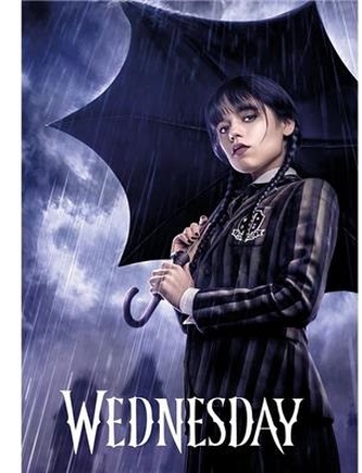 Teczka  Wednesday A4