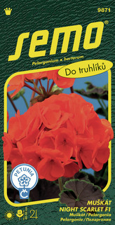 Pelargonie páskatá - Night Scarlet F1 11s