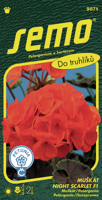 Pelargonie páskatá - Night Scarlet F1 11s