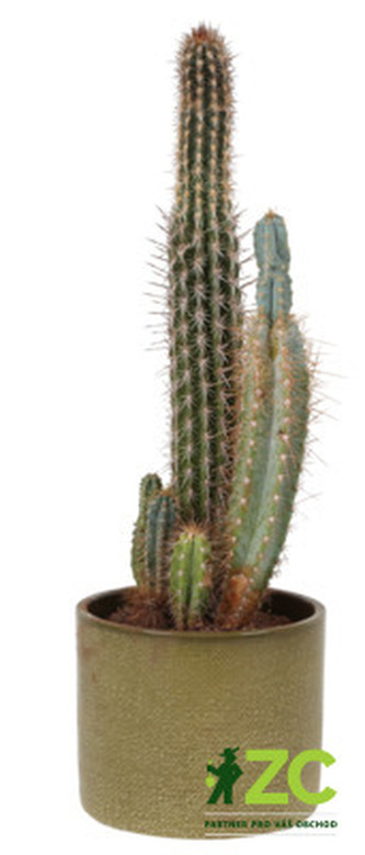 Obal 416 Pistachio Lasur 17 cm