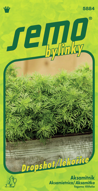 Aksamitník (nepravá lékořice) 40s