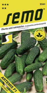 Okurka nakl. - Artemis F1 partenokarpická hr 1,5g