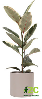 Obal 411 Stone Grey 28 cm