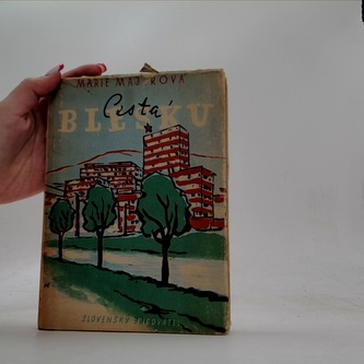 Cesta blesku
