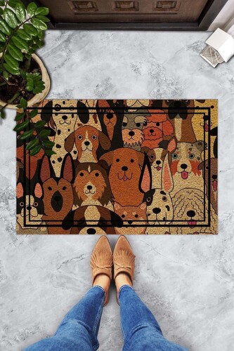 Rohožka Carino 60x40 cm vícebarevná