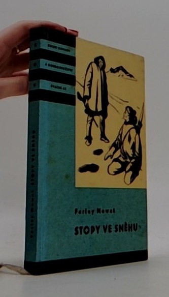 Stopy ve sněhu