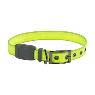 Nite Ize NiteDog dobíjecí LED obojek Zelená Medium - střední 40.6cm - 50.8cm