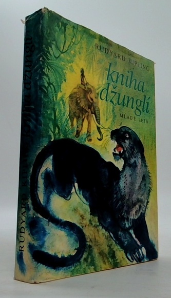 Kniha džunglí