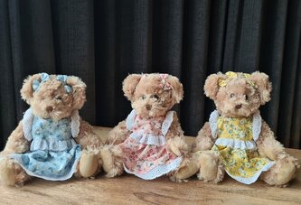 Set plyšových medvědů v šatech