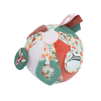 Aktivity lopta Srnka