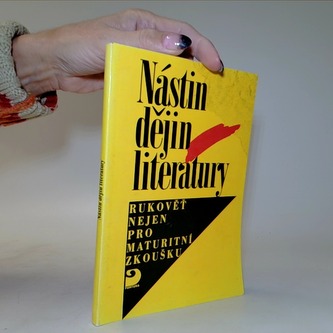 Nástin dějin české literatury
