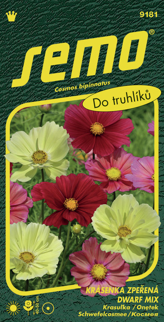 Krásenka zpeřená - Dwarf mix 40s