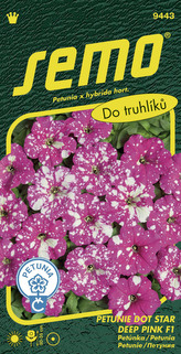 Petunie mnohokvětá - Dot Star Deep Pink F1 40p