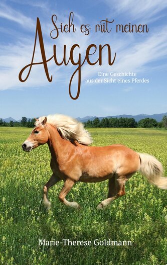 Sieh es mit meinen Augen Sieh es mit meinen Augen