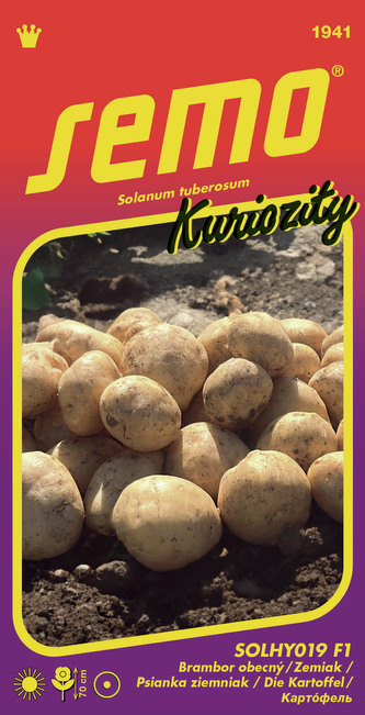 Brambor obecný (lilek brambor) SolHY019 F1 14pel - série KURIOZITY