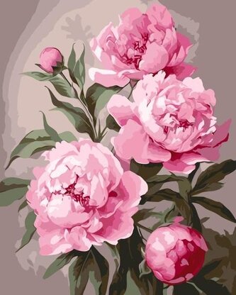 Malowanie po numerach - Piwonia 40x50cm