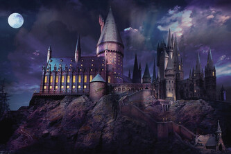 Umělecký tisk Harry Potter - Hogwarts night, 40 × 26.7 cm