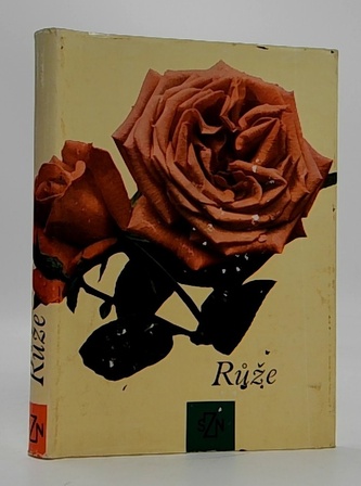 Růže
