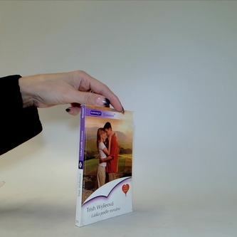 Láska podle románu