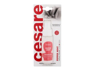 Mr&Mrs Fragrance Cesare Vůně do auta Car Spray Perfume 50 ml Pepper Mint unisex